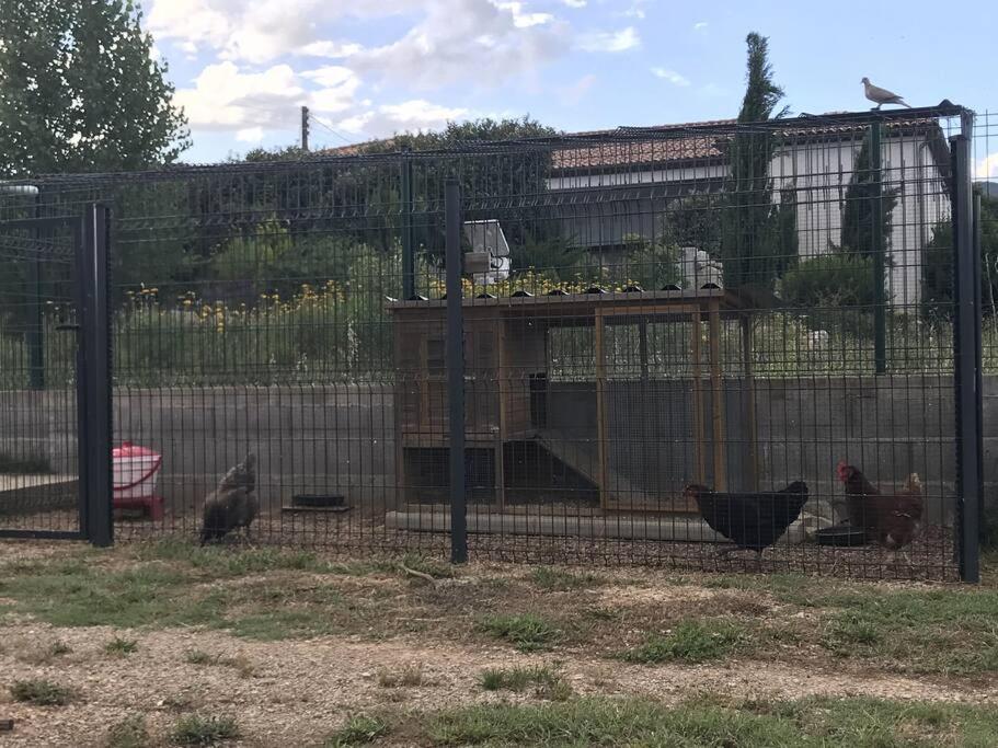 Cocon Aux Portes Des Cevennes Avec Piscine Moulès-et-Baucels Екстериор снимка